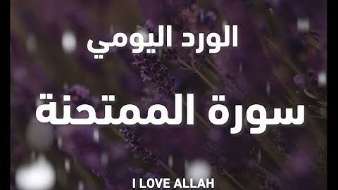سورة الممتحمة ياسر الدوسري من الايه11الي 13 - سورة الممتحنة ,, ياسر الدوسري ,, yasser aldosry