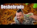 DESHEBRADA en SALSA ROJA + TIP de RECALENTADO | JUS PALTA - Comida Casera