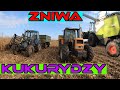 oporowe koszenie kukurydzy "vlog 33" pronar idze jak zły