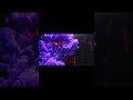VOID ☠️ | Dark Aggressive Funk | Heavy Bass | Brazilian Funk 202 #bass #nightnoir #music #phonk