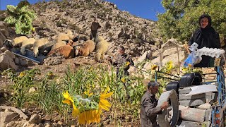 Download Lagu 🍡Nomadic life | Bringing supplies to build a shelter in the cold | Watering a nomadic farm MP3 Download Lagu 🍡Nomadic life | Bringing supplies to build a shelter in the cold | Watering a nomadic farm MP3