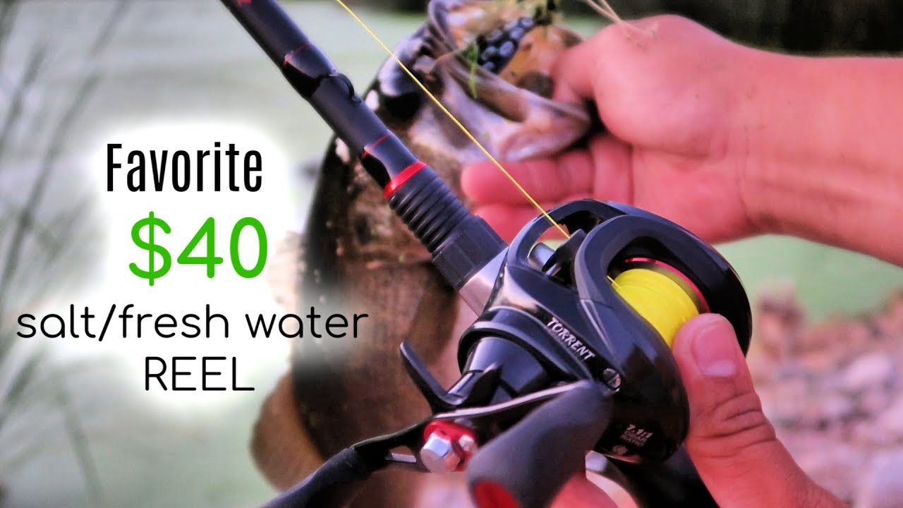 bass worms lures Perfection Lures David Dudley Wacky Worm Review