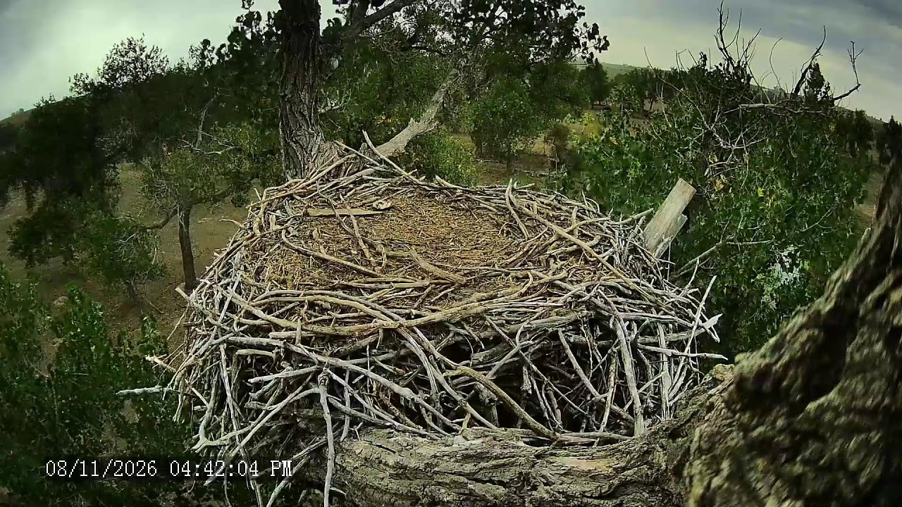 Live webcam view of Nido de Águilas Fort St. Vrain (lateral)