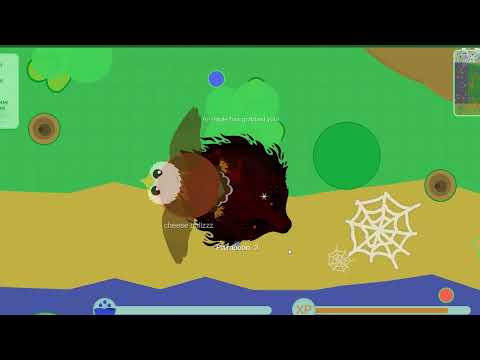 MOPE.IO | LP #4 | ქართულად | ოღონდ ევოლუცირების დროს უნდა დავატრიალო ფორტუნის ბორბალი!!! :) |