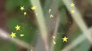 🔴وناري يسراجهلات على لبنى منين عرفات الدار لمن تكتبات وسعاد دارت عامرة في خاوية لبنتها على الادسنس