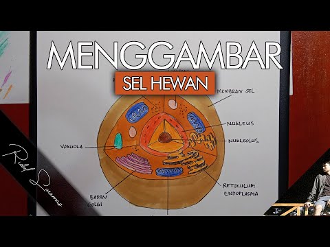 CARA MENGGAMBAR SEL HEWAN DENGAN MUDAH