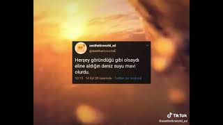 Eline Aldığın Deniz Suyu Mavi̇ Olurdu.