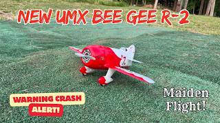 NEW UMX Bee Gee! Maiden Flight! Crash warning ahead!