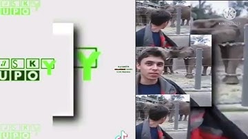 59 shuric scans with are slides