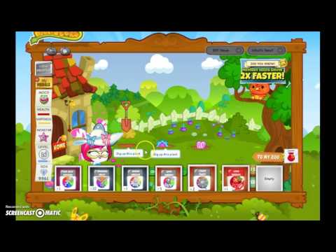 Super Short UPDATE On The BOP CORN SEED