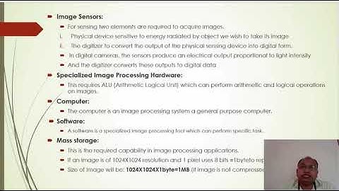 Components of image processing and elements of visual perception