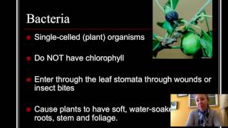 Plant Pathology: Understanding common diseases in plants [Horticulture 101 Series] screenshot 2