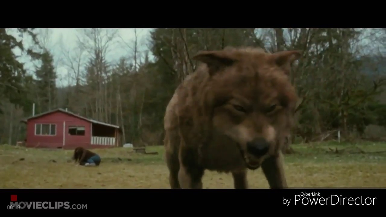 Twilight WolvesMonster[Skillet] YouTube