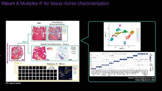 SORS/WomenInBSC: "Spatial Transcriptomics - An Overview and Application to map tissue pathology