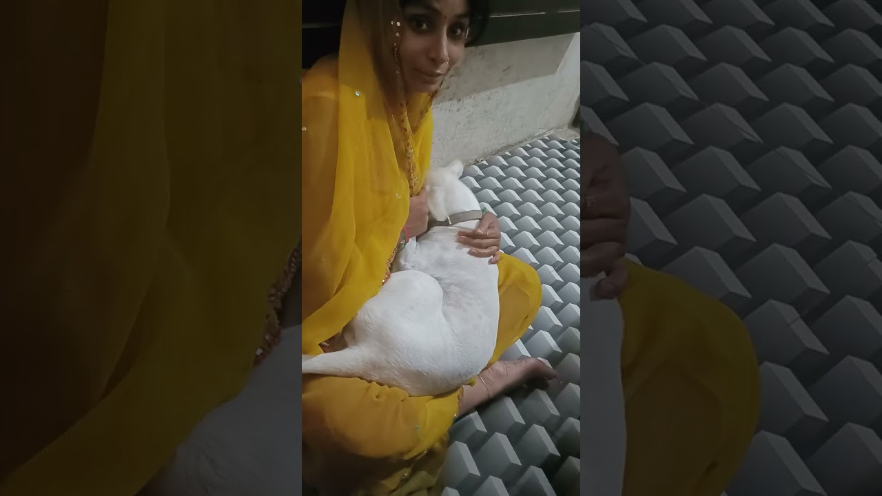 white hamesha karati rahati h