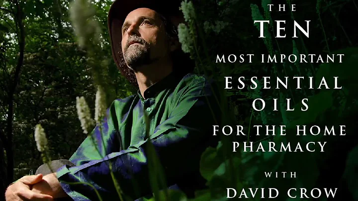 Top 10 Essential Oils for the Home Pharmacy with D...
