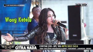WONG KETELU // CITRA NADA LIVE DESA RANCAWULUH // BULAKAMBA - BREBES