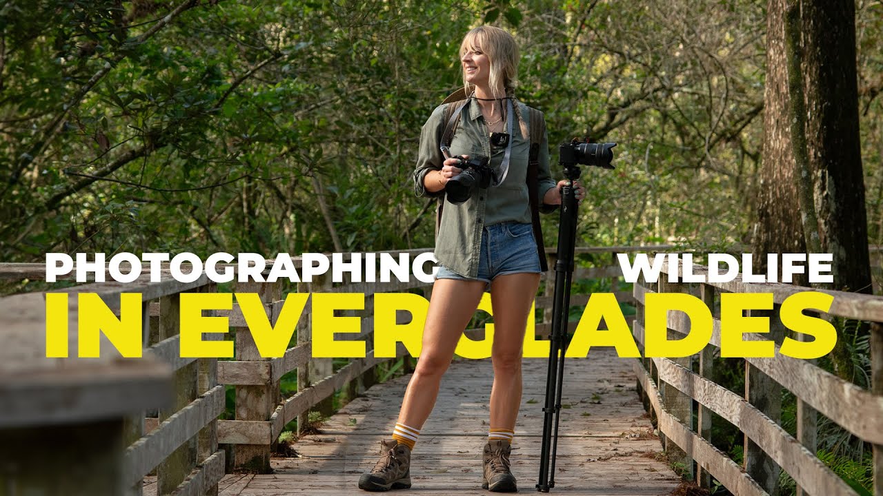 Exploring the Wild: Photography Journey in Corkscrew Swamp Sanctuary, Everglades