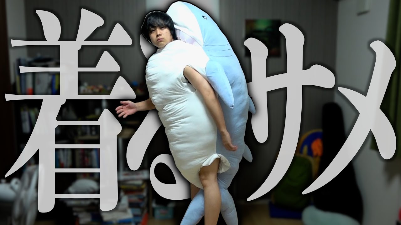 【180cm】ホームセンターに賣ってるデカすぎて着れるサメクッション