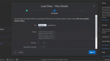 Oracle Apex 19.1 -  Upload data to an existing table