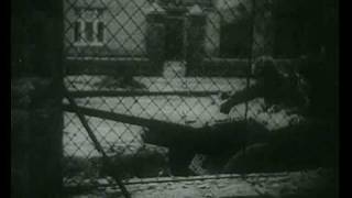 WW2 urban combat footage