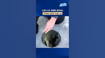 Câu cá trên băng cũng rất thú vị #shorts