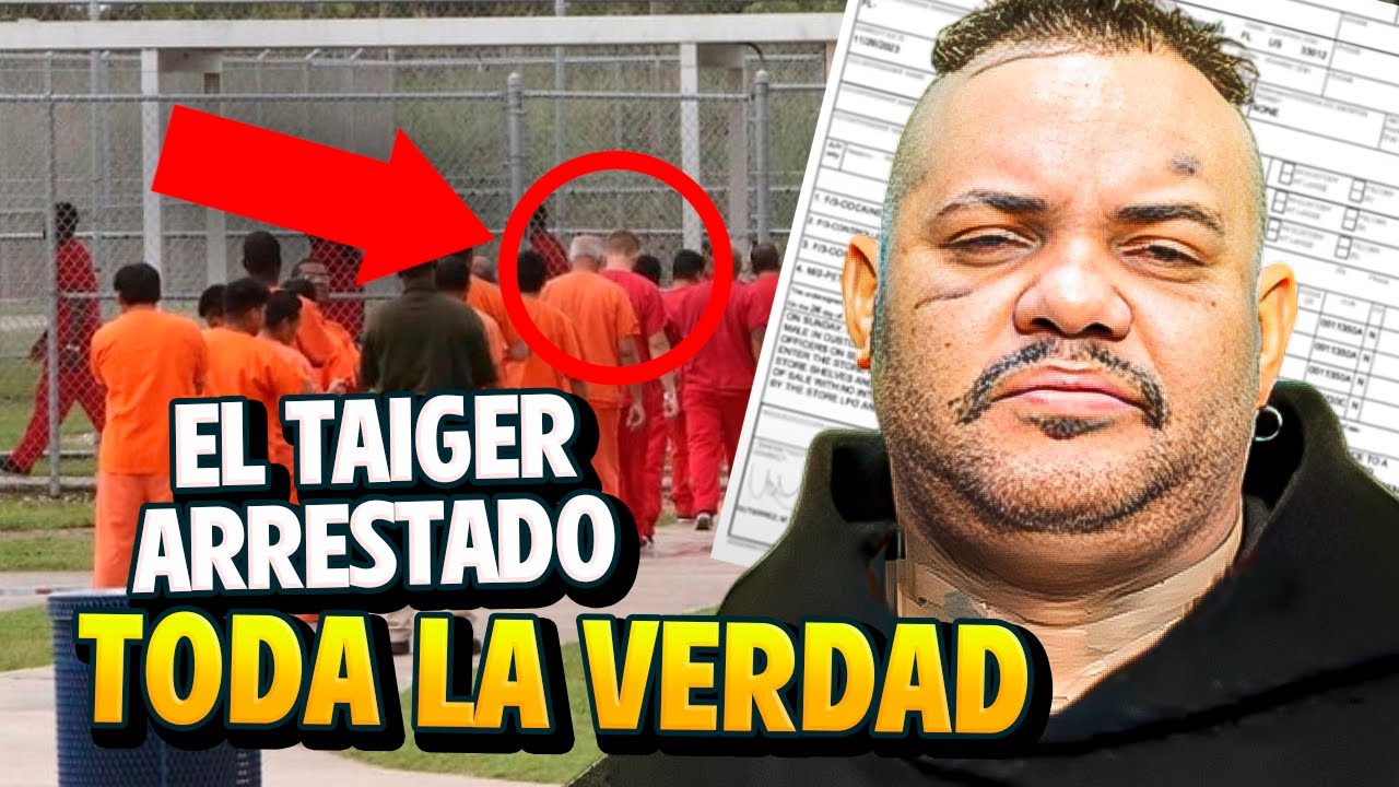 El Taiger Preso TODOS LOS DETALLES !!!🔥😱 Mami Kim Respondió !!!
