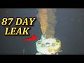 When Every Safeguard Failed: Deepwater Horizon Oil Disaster