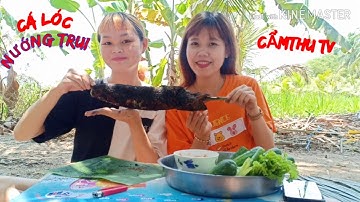 Cẩmthu TV - cá lóc nướng trui ẩm thực đồng quê