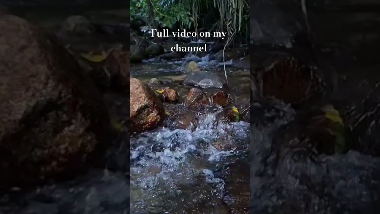 Forest stream for deep sleep 