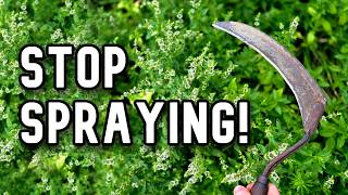 Cut Weeds FAST with a Sickle (No Chemicals Needed!)