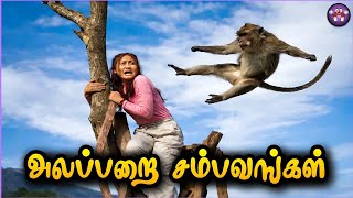 கோளாறான விலங்குகள் சம்பவம் | Funny animals | The Magnet Family 2.0