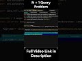 N+1 Problem in JPA (Quick Demo)