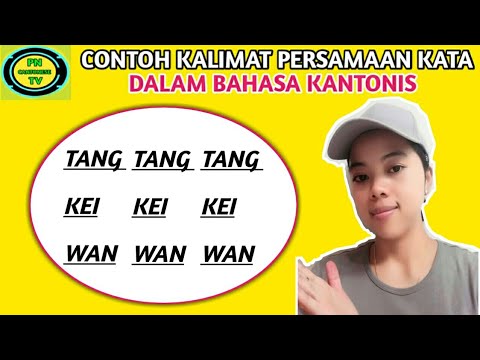 Video: Apa Sinonim untuk Wan