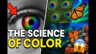 The Science of Color: Unlocking Nature's Most Fascinating Visual Language