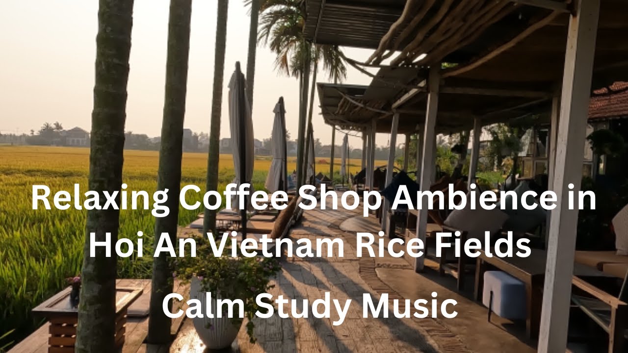 Relaxing in Hoi An’s Rice Fields  Open-Air Coffee Shop Ambience with Calm Study Music & Scenic Views
