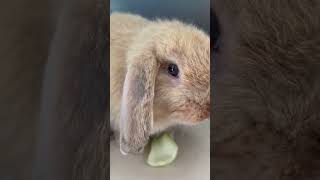 Eating my tasty food ☺️