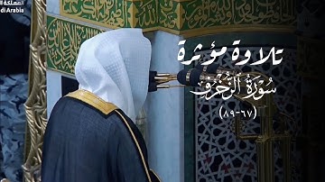 تلاوة مؤثرة لأواخر سورة الزخرف للشيخ د. عبدالله القرافي | عشاء الأربعاء 27-8-1446هـ