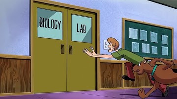 Scooby Doo Where Are You - Scooby Doo and The Cyber Chase (2001)