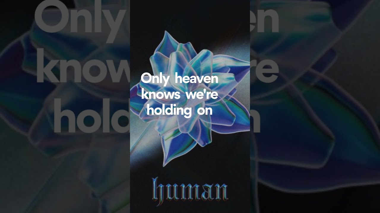 Cheat Codes, Human (Lyrics - Chorus)