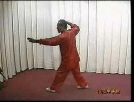 SZJ Baguazhang Basic Palm Striking Method