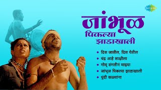 जांभूळ पिकल्या झाडाखाली | Jambhul Pikalya Zadakhali | Dis Jatil Dis Yetil | Old Marathi Songs