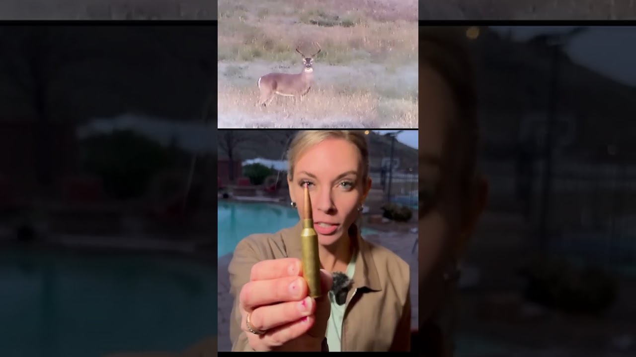 The View Cast on Deer Hunting with an AR-15 | Hunting Rifles 