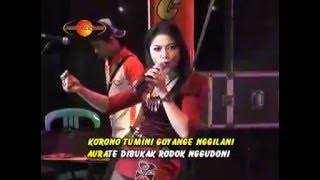 The Rosta Vol 9 - Cenat Cenut - Ratna Antika