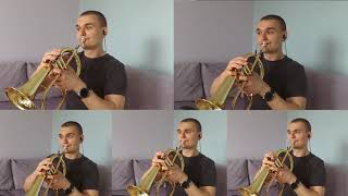 Elvis Presley  Cant Help Falling In Love trumpet Quintet