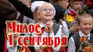 Милое 1 СЕНТЯБРЯ.День знаний. Милое 1 СЕНТЯБРЯ.День знаний.