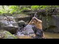 JUNGLE MAN makes a shower that directs water from upstream - Survival Challenge