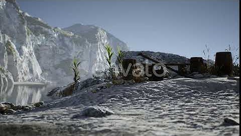 Wooden Barrels with Sea Fish at the Sand Beach | Motion Graphics - Envato elements