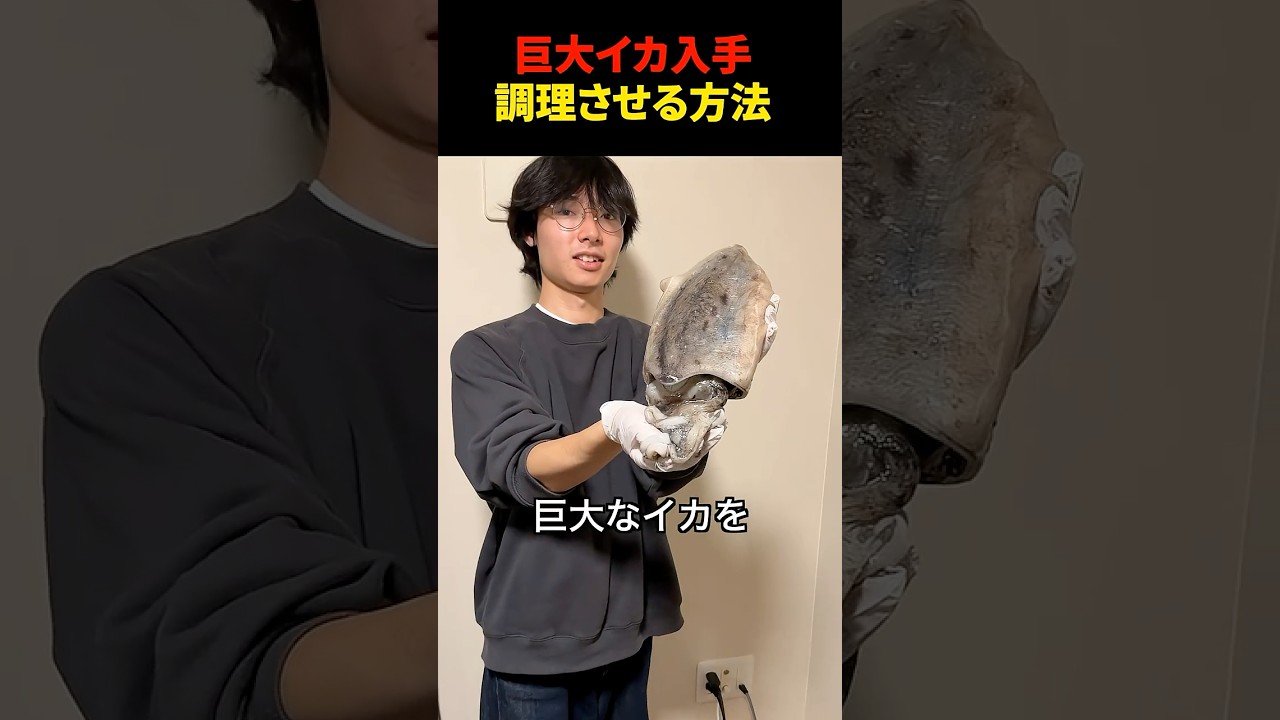 巨大イカを入手したので調理させてみた　#shorts #料理 #イカ