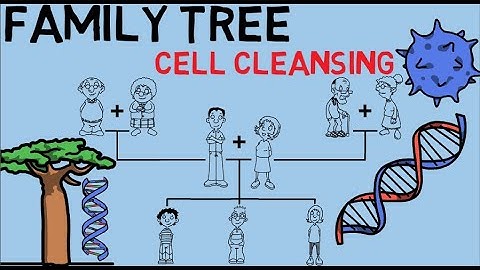 Using the cellular memory perspective to understand Generational curses & Ancestral worship| Release